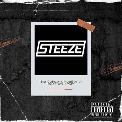 Steeze - Single