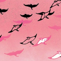 Ralph's Suite - Single - AbbotJackson