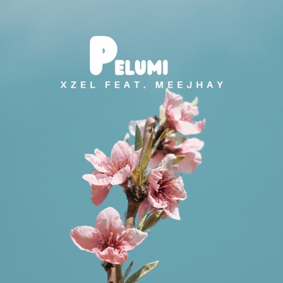 Pelumi (feat. Mee Jhay) - Single