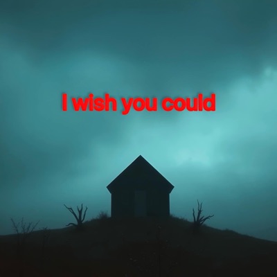 I Wish You Could - Single