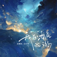 我在海底沉溺 - Single - sunpengkai & 任玲辉
