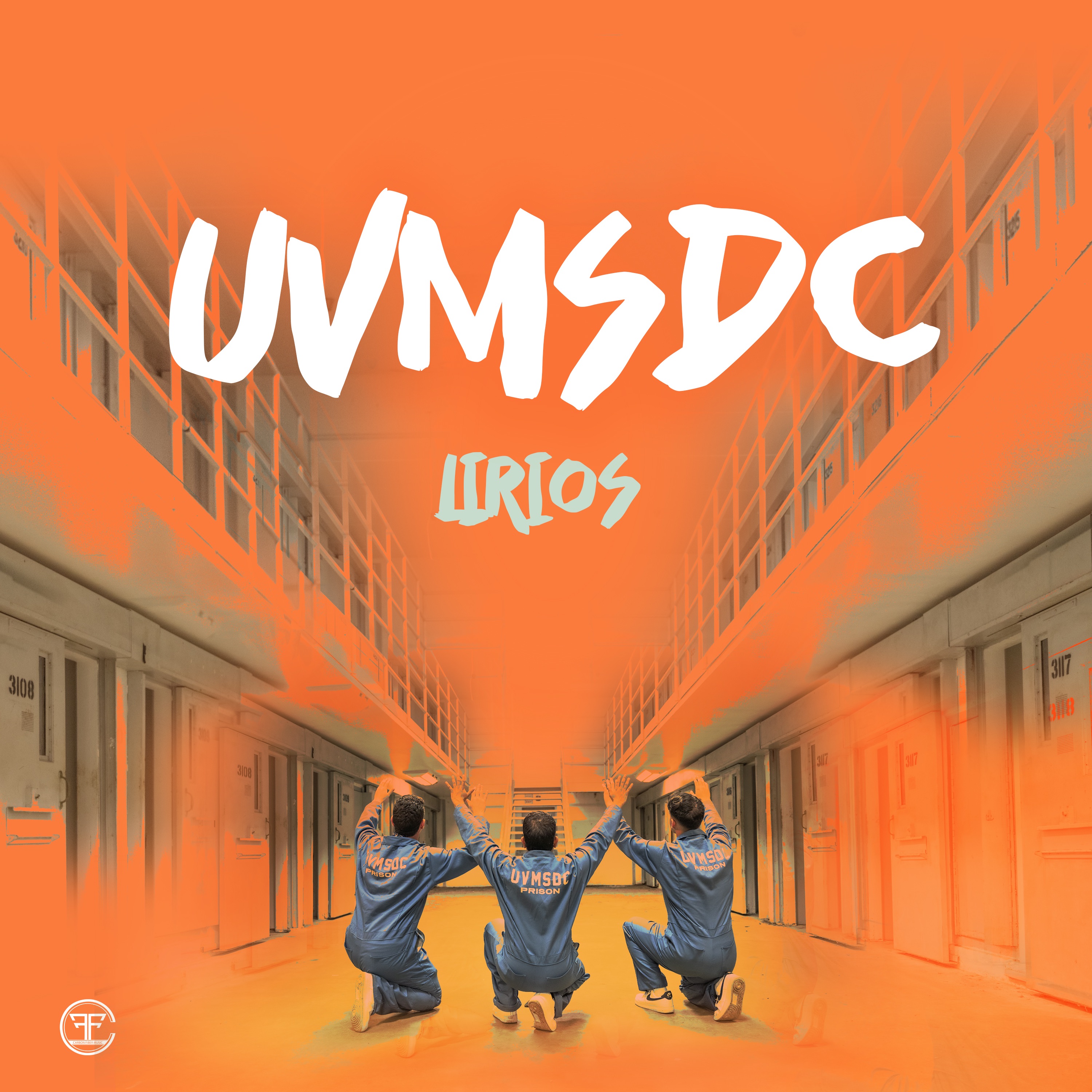 UVMSDC