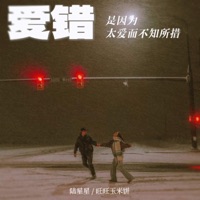 爱错是因为太爱而不知所措 - Single - 陆星星 & 旺旺玉米饼