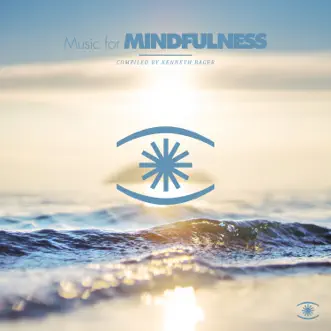 Music For Mindfulness, Vol. 8 by Kenneth Bager album reviews, ratings, credits