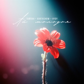 Ай молодая Тайпан, KARTASHOW & HYDY