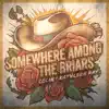 Somewhere Among the Briars