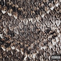 Snakeskin - Single - Phreyla