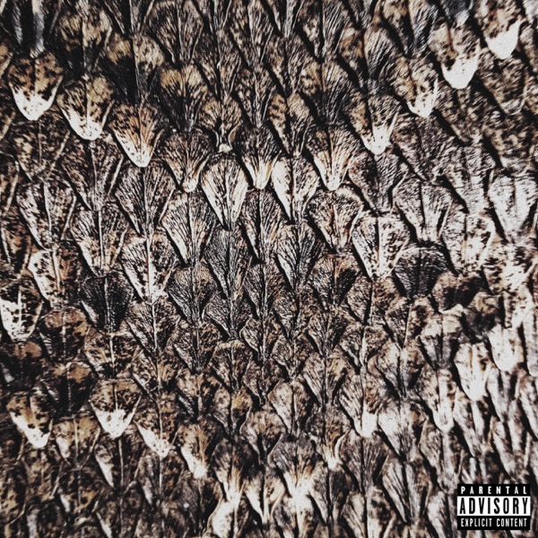 Snakeskin