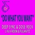 Do What You Want (Club Rework)