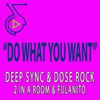 Do What You Want — Deep Sync, Fulanito, 2 In a Room & Dose Rock