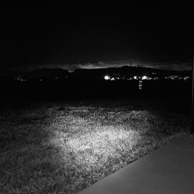 Fan Service (feat. Gravity) - Single