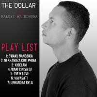 Swaku Nandzika (feat. the dollar music) - Baloyi wa Ndhuma
