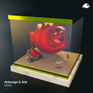 Moet - Single