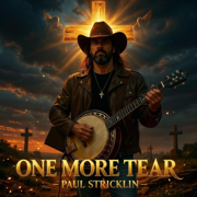 One More Tear - Paul Stricklin