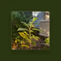 Listen to undefined, watch music videos, read bio, see tour dates & more!