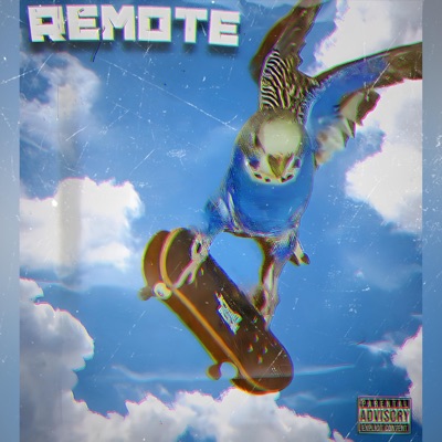 Remote