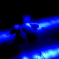 i hate your guts - Single - aurakrai