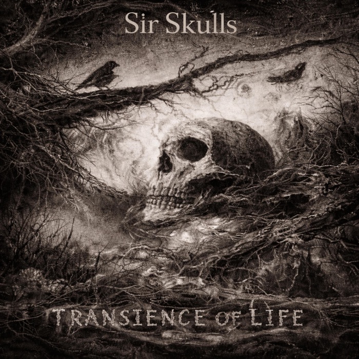Transience of Life album cover