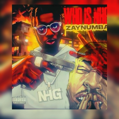 Who Is NHG (Zaynumba41)