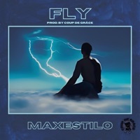Fly - Single - Maxestilo, The High Drop Jah & Digital Rvmpvge
