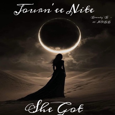 Journ'ee Nite (SHE GOT) - Single