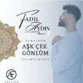 Aşk Çek Gönlüm