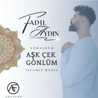 AŞK ÇEK GÖNLÜM — Fadıl Aydın