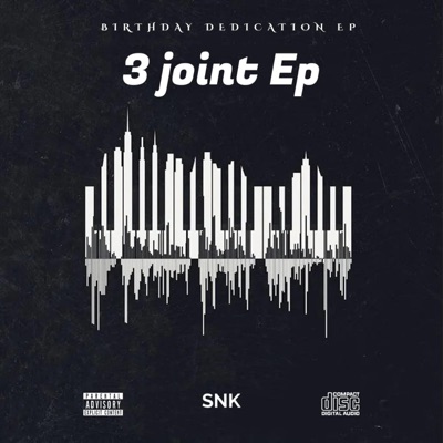 The Return of Snk - Single