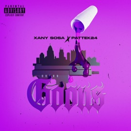 GOONS (feat. Pattek 24) Xany Sosa