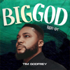 Tim Godfrey - Big God (Radio Edit) artwork