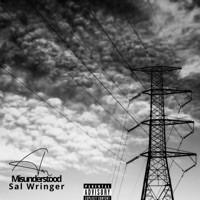 Misunderstood - Single - Sal Wringer