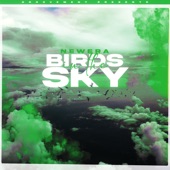 Birds In The Sky (Sam Green Remix) artwork