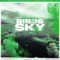 Birds In The Sky (Sam Green Remix) artwork