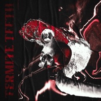 Termite Teeth - Single - Mvko & Netuh