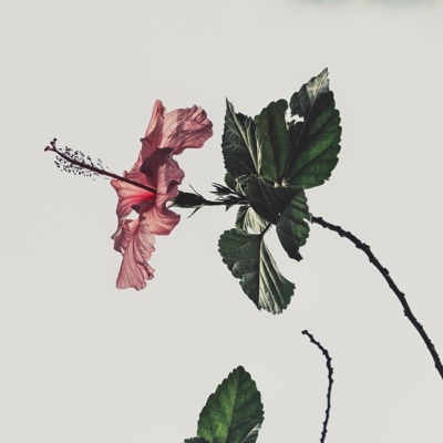 Isn't Easy to Let You Go cover