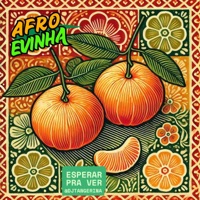 Afro Evinha (Esperar pra Ver) - Single - Dj Tangerina