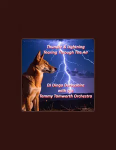 DJ Dingo Darbyshire & The Tammy Tamworth Orchestra: песни, клипы, биография, даты выступлений и многое другое.