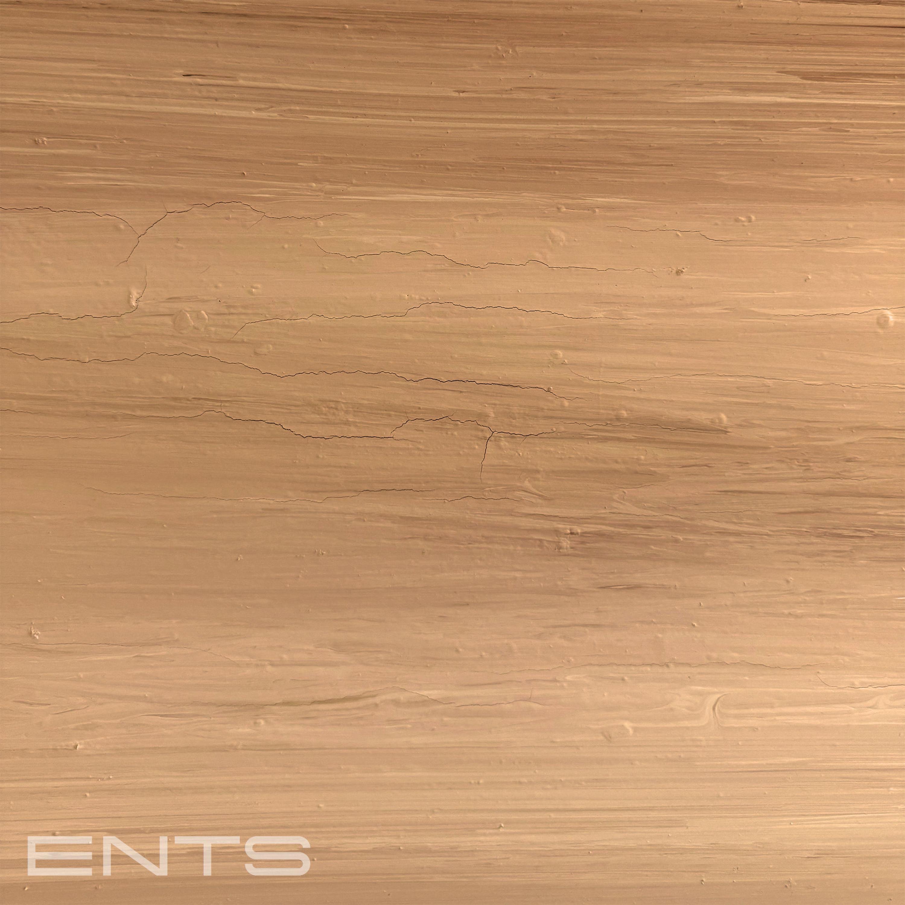 ENTS - EP