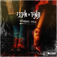 הצד המשוגע - Single - תמיר איבגי