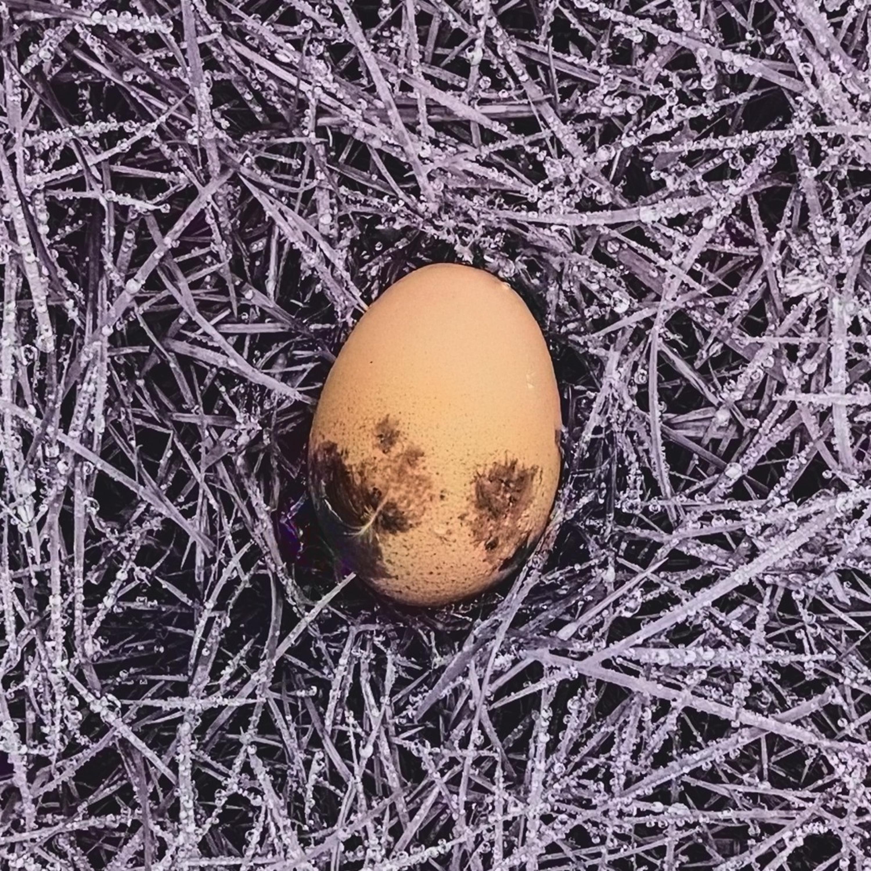 Hear This Song! - Single