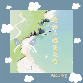 跨越山海来见你 P40林康鉴