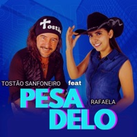 Pesadelo (feat. Rafaela) - Single - Tostão Sanfoneiro