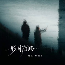 形同陌路 (伴奏) 晓磊 & 忆筱书