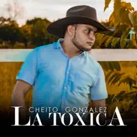 Si Me Llamas o Me Escribes — Cheito Gonzalez