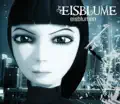 Eisblumen
