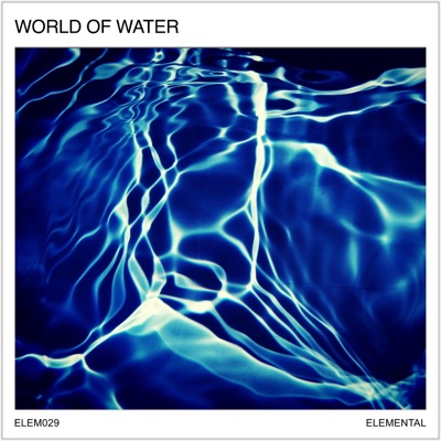 The World of Water: Fluid Motion