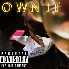 OWN IT PnDame