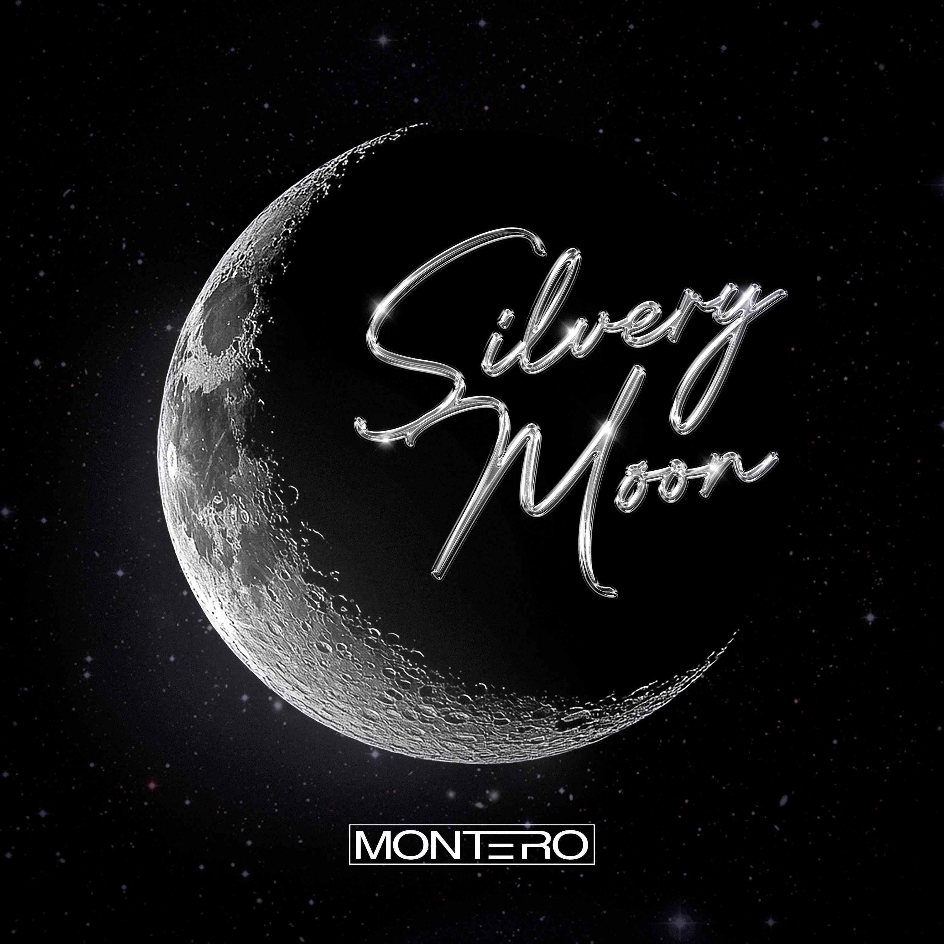 Silvery Moon