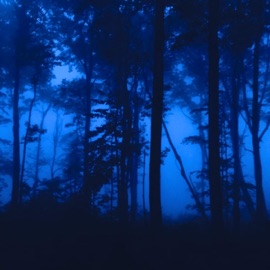 vanish too unbothered.