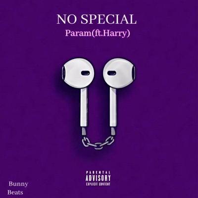 No Special (feat. Harry) - Single